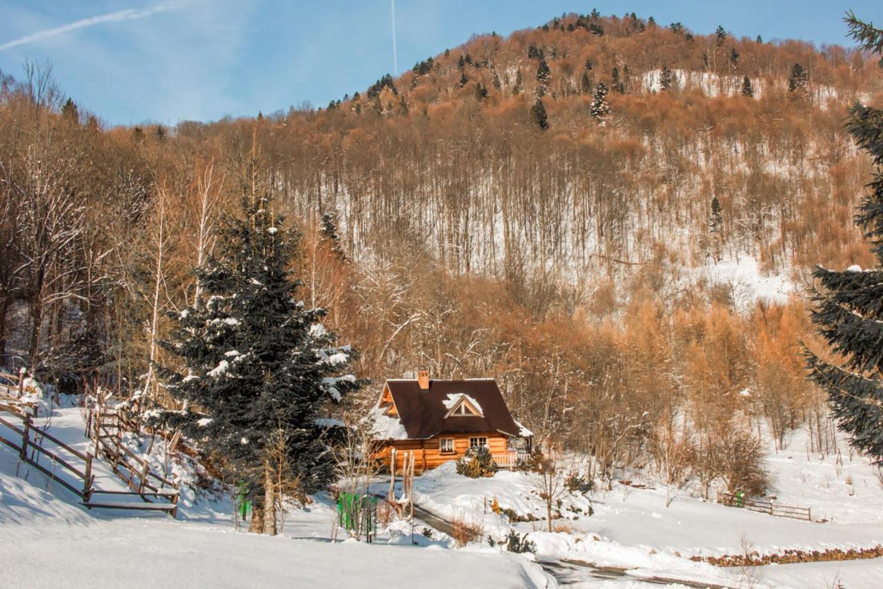 Lesne Uroczysko Villa Cisna Luaran gambar
